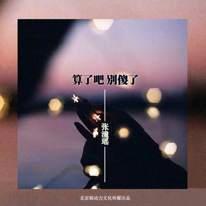 算了吧别傻了（歌曲）