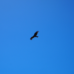 誰かを幸せにすること