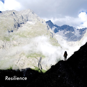 Resilience