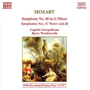 Symphony No. 40 in G Minor, K. 550:I. Allegro molto