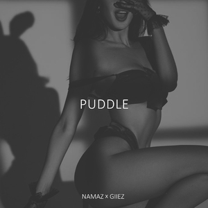 Puddle