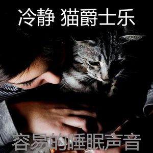 柔和的猫时刻