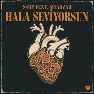 Hala Seviyorsun