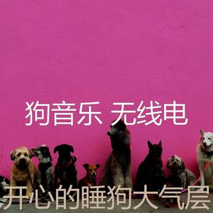 微妙的训练犬心情