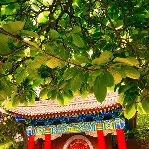 琵琶行（感我此言良久立）