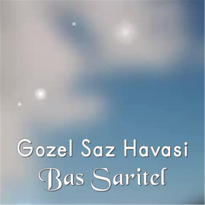 Bas Saritel