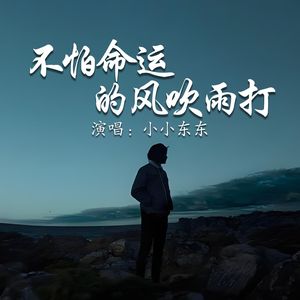 不怕命运的风吹雨打