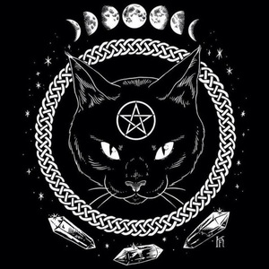 N.E.O. = 近地轨道