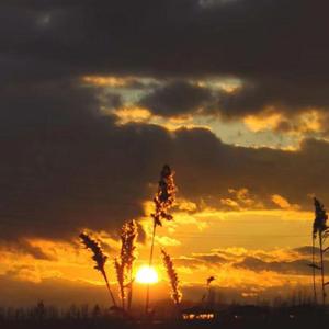 罗密欧跟朱丽叶