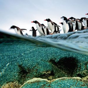 太多的情谊 伴奏