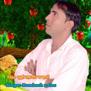 तू ही तक़दीर च म्हारो