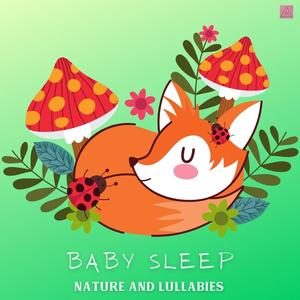 Night Sky (Twinkle, Twinkle, Little Star)