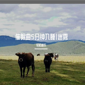 婴儿早教安抚催眠曲轻音乐|治愈心情钢琴曲