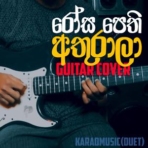 Rosa Pethi (Guitar, 0.1v)