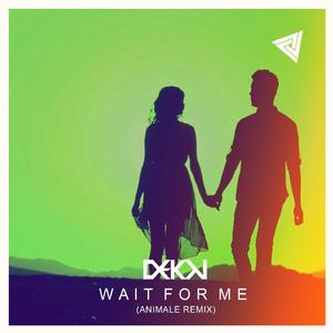 Wait for Me (Animale Remix) (Radio Edit)