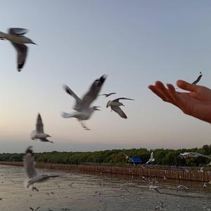 Kina-Can We Kiss Forever？（黎轩 / VaSka remix）