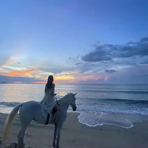 Dusk Till Dawn(Remix)