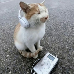 故事终章