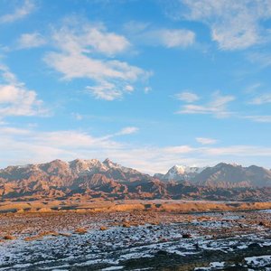 想你想你的每天