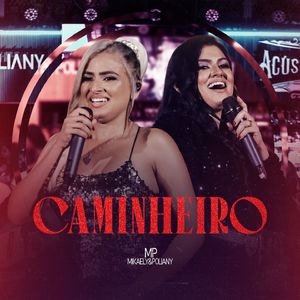 Caminheiro (Ao Vivo)