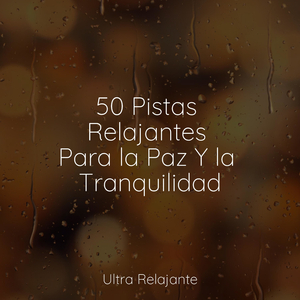 Profundamente Soñando