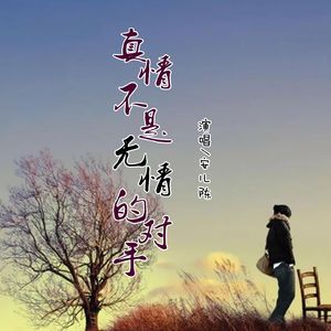 真情不是无情的对手