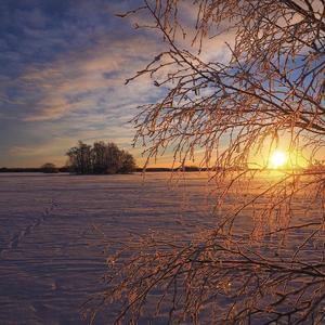 DJ阿轩-不如（DJ阿轩 remix）