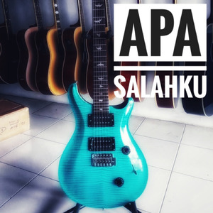 APA SALAHKU