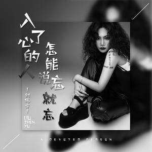 入了心的人怎能说忘就忘(DJR7)