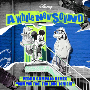 Can You Feel the Love Tonight (From "A Whole New Sound" | Pedro Sampaio Remix)