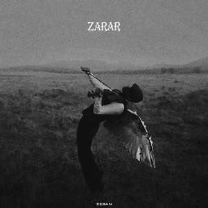 zarar