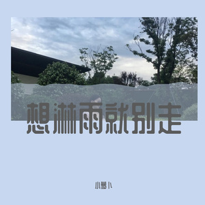 想淋雨就别走（cover Fine乐团）