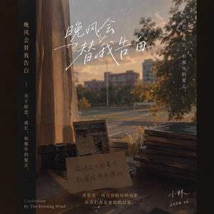 晚风会替我告白