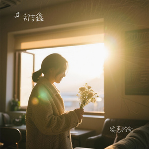 暖意拾光