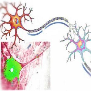 billionsorrow（Prod by.kaktus）