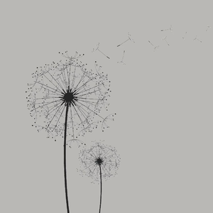 云与蒲公英 feat.赤羽