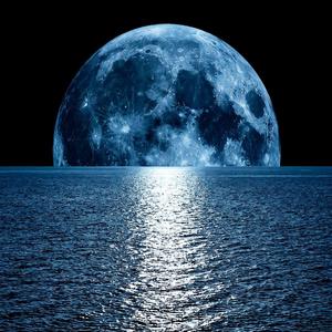Moonlight