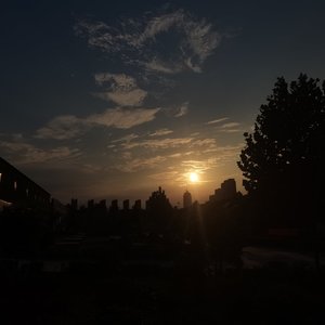 带你去找夜生活（翻自 推车刘老汉）