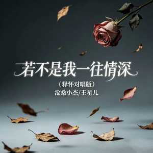 若不是我一往情深(释怀对唱版)