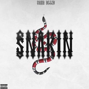SNAKIN