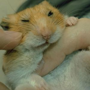 看不見的人 (feat. Isaac Kuo)