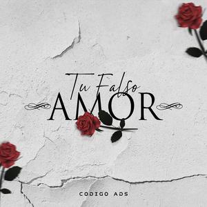 Tu Falso Amor