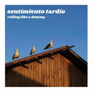 Rolling Like a Dummy