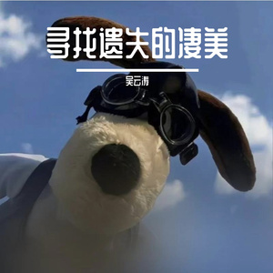 这城市风总是很大