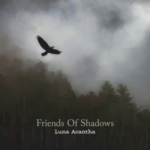 Friends Of Shadows