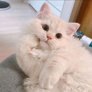 海的花纹