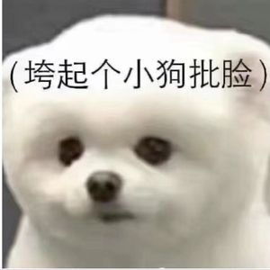我才不给你唱情歌
