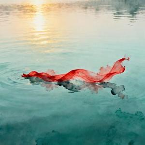 惊鸿一面 (降调DJ版)