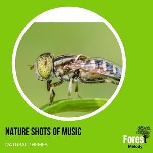 Hideous Rattle Snake