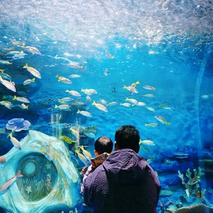 慢慢爱——致我们的五周年和你的三十一岁.wav